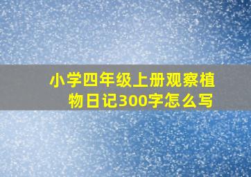 小学四年级上册观察植物日记300字怎么写