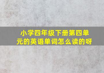 小学四年级下册第四单元的英语单词怎么读的呀