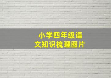 小学四年级语文知识梳理图片