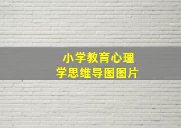 小学教育心理学思维导图图片