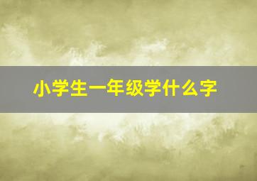 小学生一年级学什么字