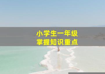 小学生一年级掌握知识重点