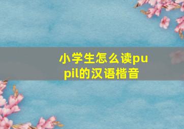 小学生怎么读pupil的汉语楷音