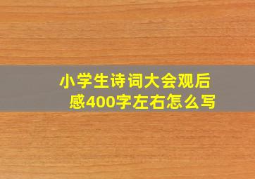 小学生诗词大会观后感400字左右怎么写