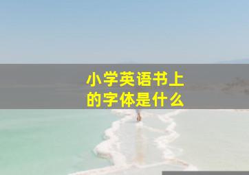 小学英语书上的字体是什么