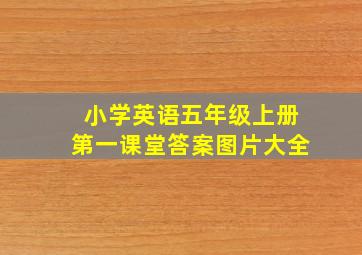 小学英语五年级上册第一课堂答案图片大全