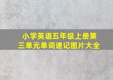 小学英语五年级上册第三单元单词速记图片大全