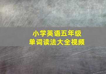 小学英语五年级单词读法大全视频