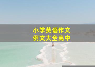 小学英语作文例文大全高中