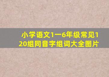 小学语文1一6年级常见120组同音字组词大全图片