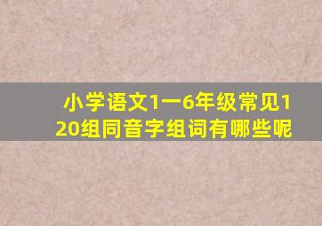 小学语文1一6年级常见120组同音字组词有哪些呢