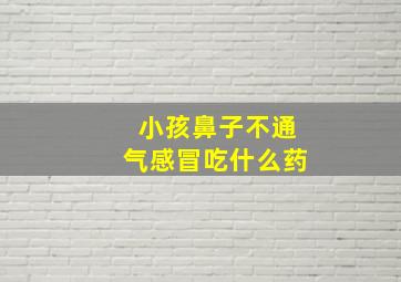 小孩鼻子不通气感冒吃什么药