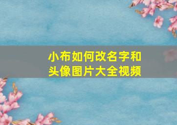 小布如何改名字和头像图片大全视频