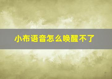 小布语音怎么唤醒不了