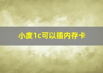 小度1c可以插内存卡