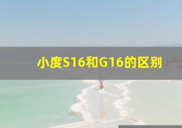 小度S16和G16的区别