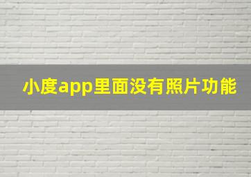 小度app里面没有照片功能