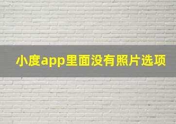 小度app里面没有照片选项