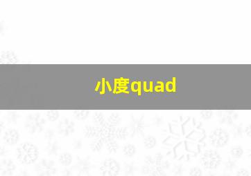 小度quad