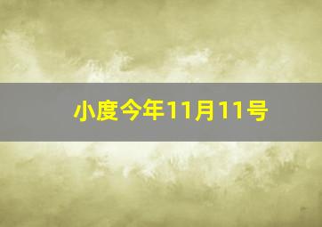 小度今年11月11号