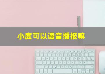 小度可以语音播报嘛