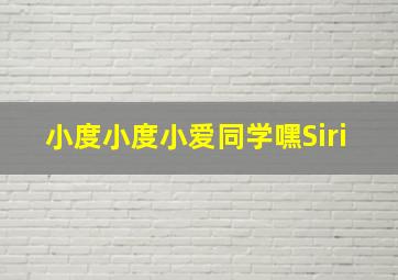 小度小度小爱同学嘿Siri