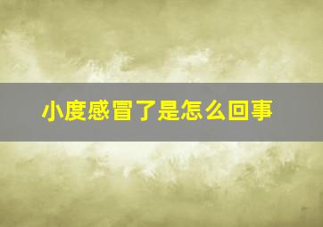 小度感冒了是怎么回事