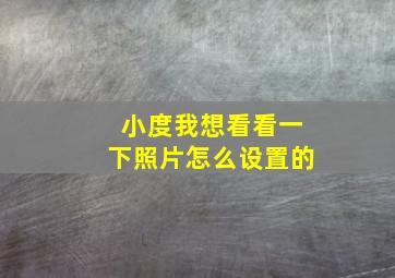 小度我想看看一下照片怎么设置的