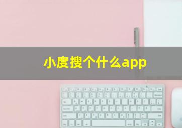 小度搜个什么app