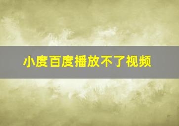 小度百度播放不了视频