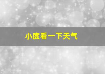 小度看一下天气