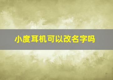 小度耳机可以改名字吗