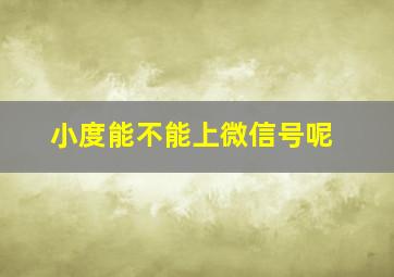 小度能不能上微信号呢