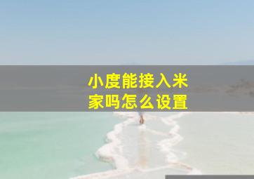 小度能接入米家吗怎么设置