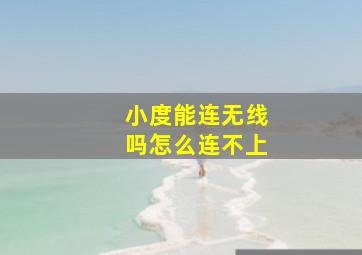 小度能连无线吗怎么连不上