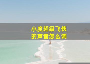 小度超级飞侠的声音怎么调