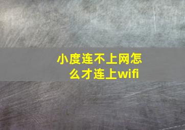 小度连不上网怎么才连上wifi