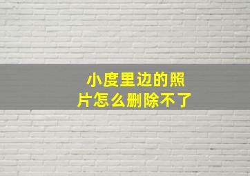 小度里边的照片怎么删除不了