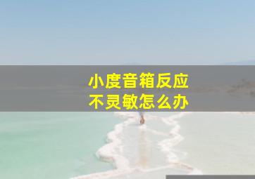 小度音箱反应不灵敏怎么办