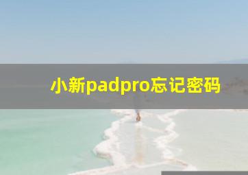 小新padpro忘记密码