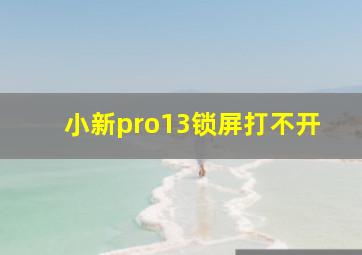 小新pro13锁屏打不开