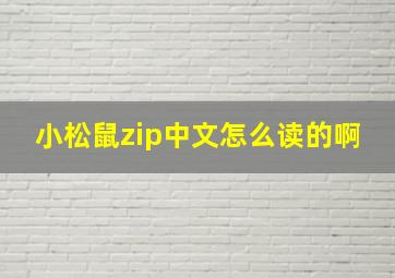 小松鼠zip中文怎么读的啊