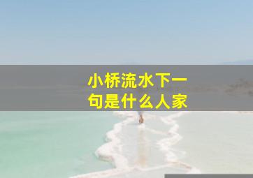 小桥流水下一句是什么人家