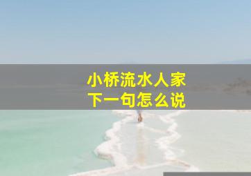 小桥流水人家下一句怎么说