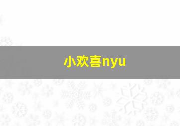 小欢喜nyu