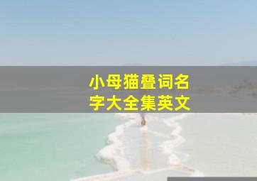 小母猫叠词名字大全集英文