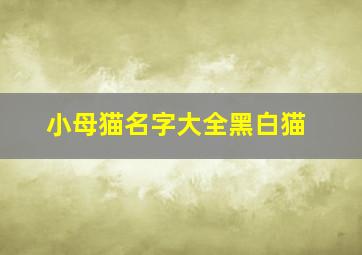 小母猫名字大全黑白猫