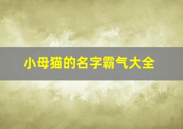 小母猫的名字霸气大全