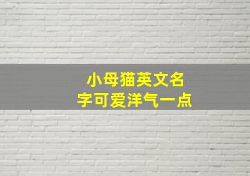 小母猫英文名字可爱洋气一点