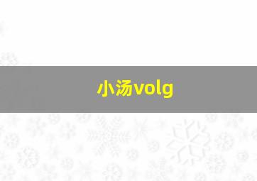 小汤volg